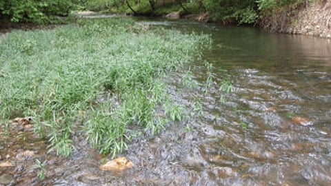 Application of Remote Sensing in Water Quality and Water Resources Management – An Overview