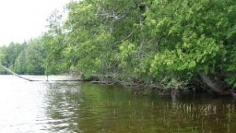 लापोड़िया