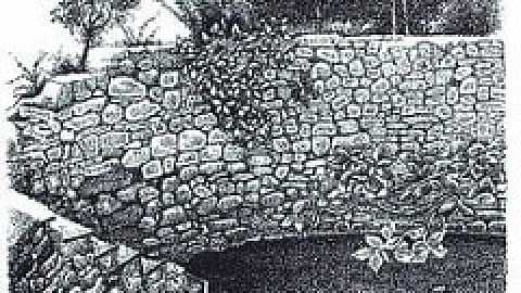 ਪੰਜ ਨਦੀਆਂ ਦੇ ਵਾਰਿਸ ਹੁਣ ਬੀਆਬਾਨਾਂ ਦੇ ਸ਼ਾਹ