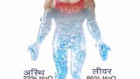 मानव शरीर में उपस्थित जल
