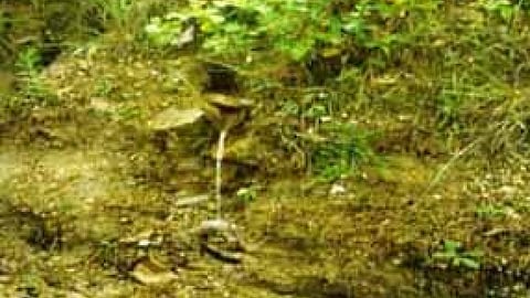 पर्वतीय क्षेत्रों में प्राकृतिक जल स्रोत