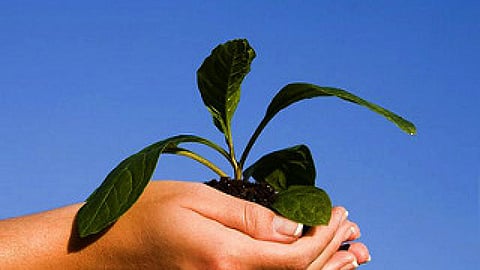 परम्पराओं-मान्यताओं की उपेक्षा का परिणाम है पर्यावरण विनाश