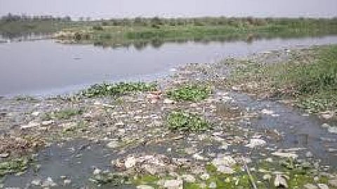 जान पर बना यमुना का प्रदूषण