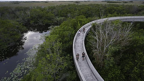 How climate change is emotionally reshaping today’s youth