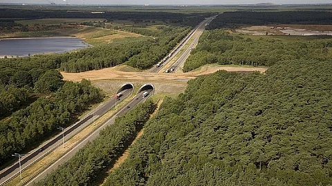 India’s first wildlife corridor opens on Delhi-Mumbai Expressway through Ranthambore Buffer Zone