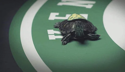 Kentucky Turtle Derby, Chicago (Dominic Udell/Brown-Forman via AP)