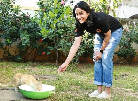 Join the 'water bowl challenge' to give our four-legged friends some much needed hydration