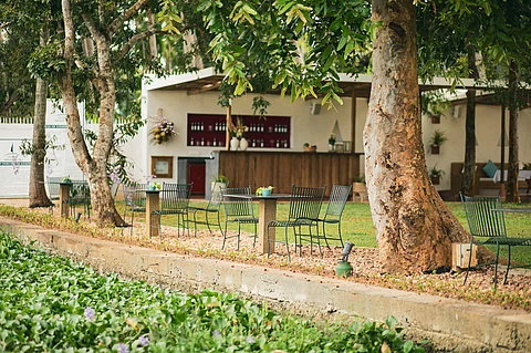 Facade of The Backwaters