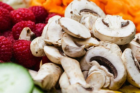 mushroom2