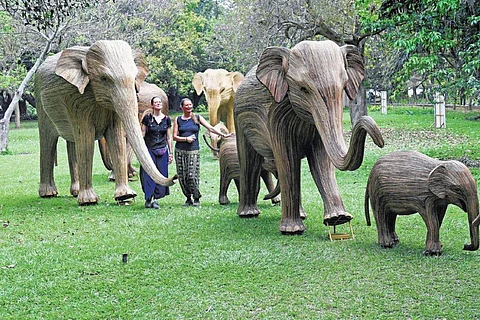 In frame: The elephant installations