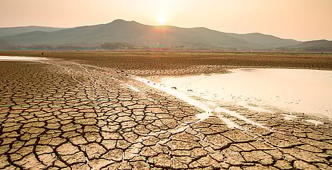 Rebrote de sequía afecta a 29 municipios de Michoacán; advierten posible agravamiento en 2026