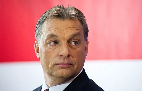Orban Opposes Ukraine's Immediate EU Membership