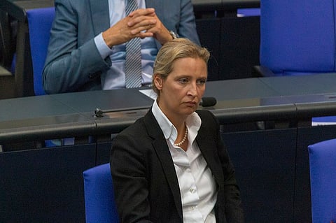 Alice Weidel 2020