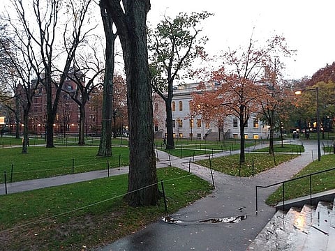 Harvard University.
