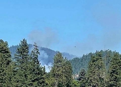 The scene of the brush fire on Canfield Mountain, just north of Coeur d’Alene, Idaho, which was intentionally started by the gunman on June 29, 2025.