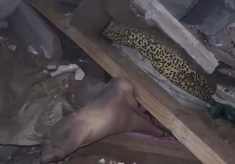 Gaza's civil defense teams recovered the body of a child from the rubble, two days after an Israeli airstrike targeted her home while she was asleep.