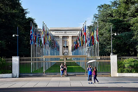 UN Reform Crisis: Reports Face Critical Readership Neglect