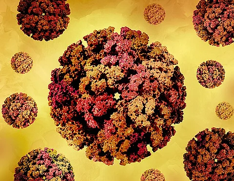 China Battles Unprecedented Chikungunya Outbreak
