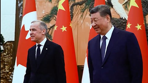 Canada and China Cut EV and Canola Tariffs in Reset of Trade Relations