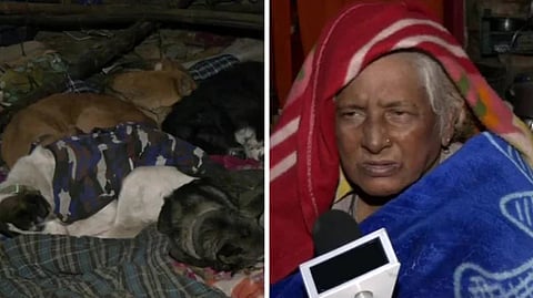 Elderly woman, her dogs thrown out of home in harsh Delhi winter