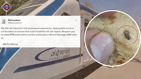 Passenger Finds Cockroach In Meal Served On Vande Bharat Express, IRCTC Responds