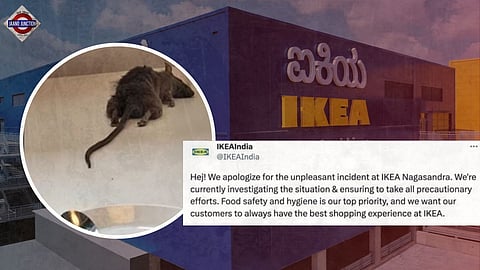 Bengaluru IKEA Apologises After Customer's Viral Tweet Shows Dead Rat on Food Court Table