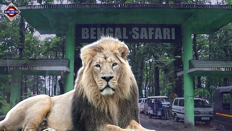 Lioness 'Sita' housed with lion 'Akbar' at Bengal safari, Hindu outfit moves court