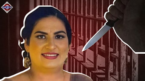 Indian-origin man gets life sentence in Canada for stabbing wife to death