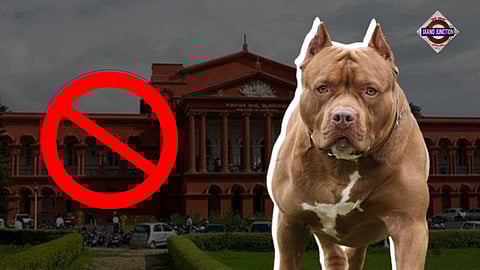 Karnataka High Court strikes down Centre's order banning 23 'dangerous' dog breeds