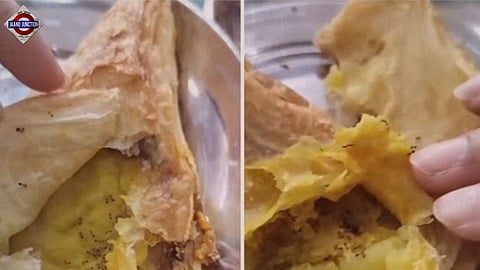 Dead ants 'found' in samosa bought from Delhi college canteen, Internet reacts
