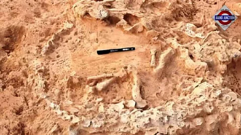 World's oldest ostrich nest discovered in Andhra Pradesh. It contains 911 eggs