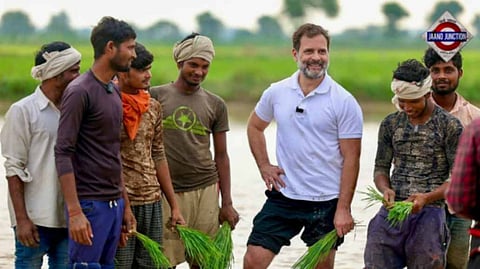 Congress leader Rahul Gandhi with farmers at a farm in Sonipat district, Saturday, July 8.