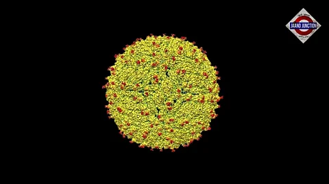 How Serious is Zika Virus? Should You Be Concerned? How Zika Virus is Different From Other Members of Flavivirus Family? Know Here