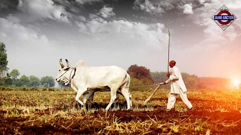 Odisha CM Majhi launches CM Kisan Yojana: Key Benefits, Eligibility Criteria, and How to Apply