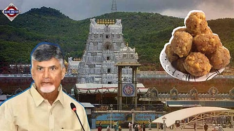 Chandrababu Naidu claims animal fat used in Tirupati laddoo, YSR Congress denies