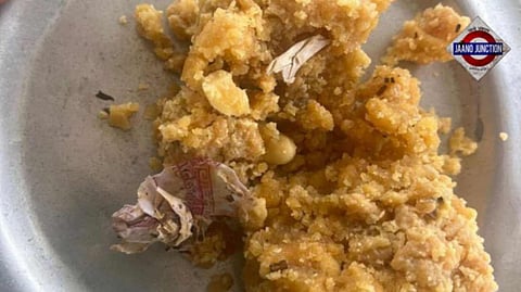 Devotee claims tobacco in Tirupati laddoo, shares video amid animal fat row