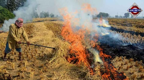 Total farm fire cases in Punjab reach 9,655 this year.