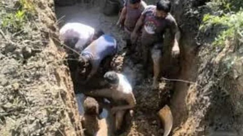 IIT Delhi student dies in soil collapse incident at Gujarat archaeological site