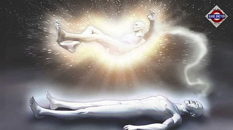 When the afterlife becomes a front-row seat to the comedy of greed, and a cat gets the last laugh!