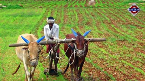 Farming yields only Rs 4,500 a month, less than what you'd spend on a dinner date