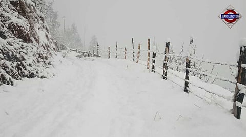 4 dead, 223 roads shut in Himachal amid heavy snowfall; Manali sees tourist surge