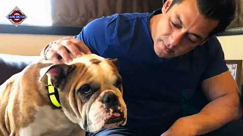 Salman Khan's dog Toro dies, Iulia Vantur writes, 'with us forever'