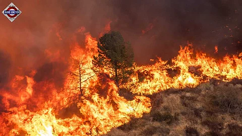 Los Angeles wildfires