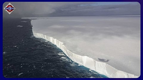 If it gets stuck, it could make it hard for penguin parents to feed their babies and some young could even starve.