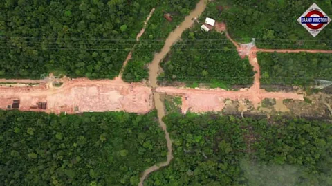 Brazil Cuts Down Thousands Of Trees In Amazon Rainforest To Build Road For COP30 climate summit