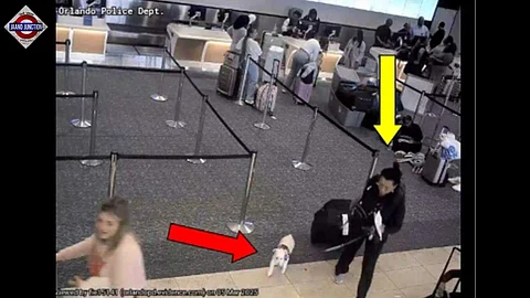 Louisiana woman drowned dog at Orlando airport after flight denial.