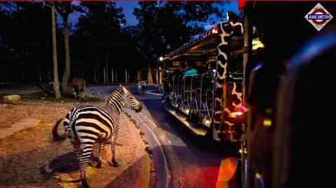 Uttar Pradesh government to build India's first night safari in Lucknow