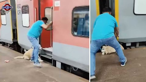 A video of a pet dog slipping under a moving train has surfaced online.