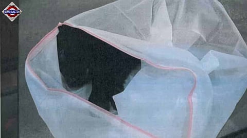 Man jailed for smuggling puppy in laundry bag.