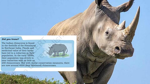 NCERT Class 4 maths textbook gets rhino facts and photo wrong